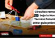 Circuitos ramales bajo la Norma Técnica Colombia 2050: guía práctica 