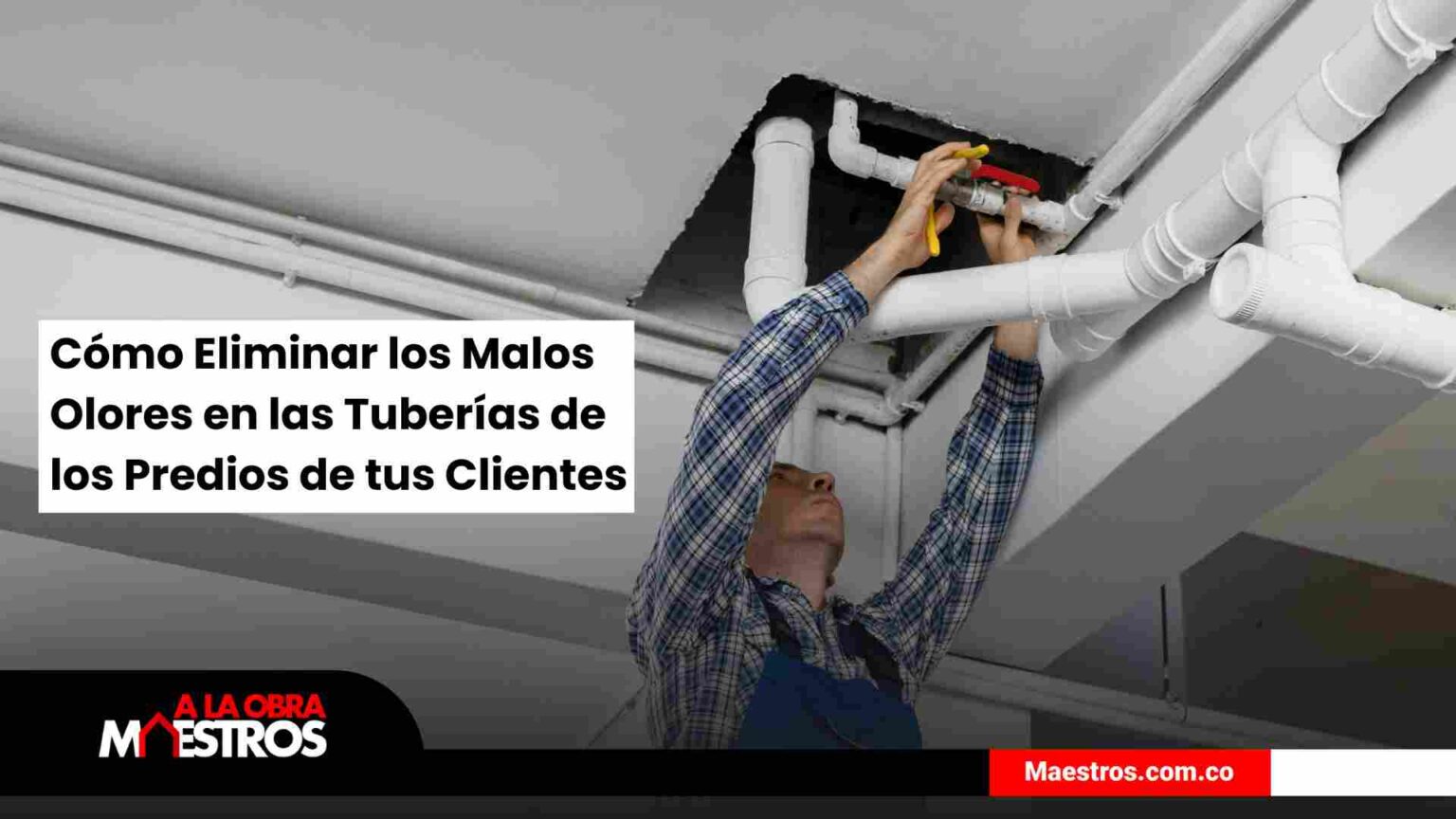 Cómo Eliminar los Malos Olores en las Tuberías de los Predios de tus ...