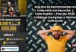Alquiler de Herramientas en Colombia: Homecenter y Constructor – Precios 2025, Catálogo Completo y Ofertas Exclusivas