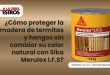 ¿Cómo proteger la madera de termitas y hongos sin cambiar su color natural con Sika Merulex I.F.S?