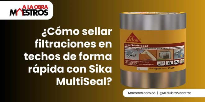¿Cómo sellar filtraciones en techos de forma rápida con Sika MultiSeal?